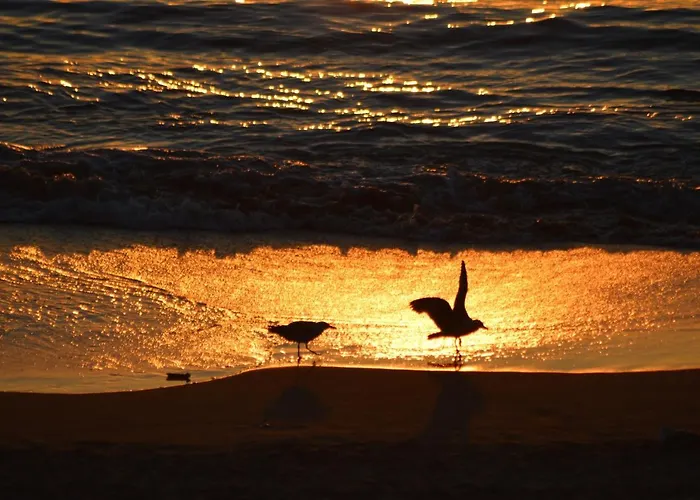 Ayenac Apartamento *